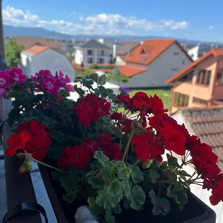 Apartament Acasa Sibiu Exterior foto