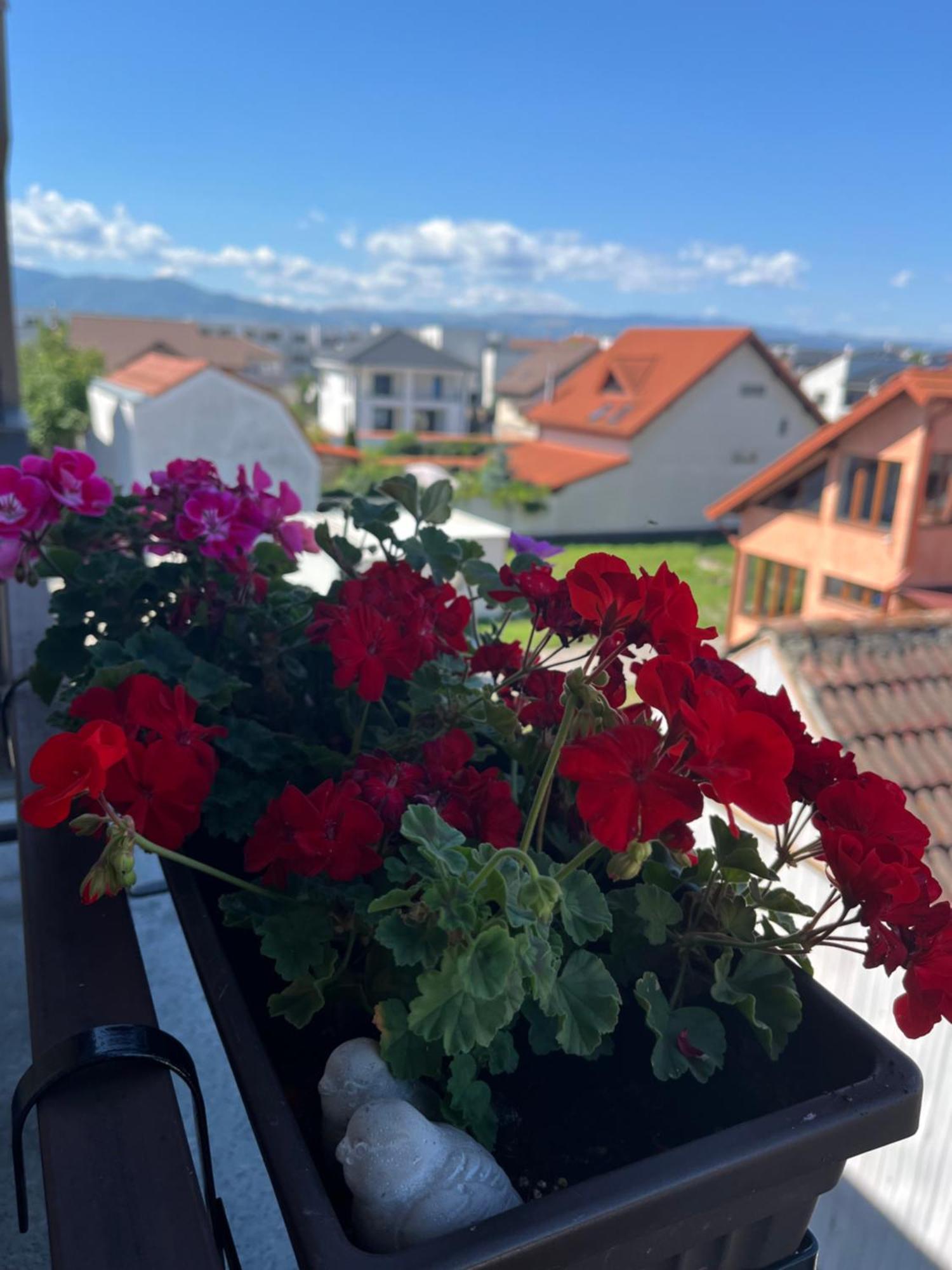 Acasa 公寓 Sibiu